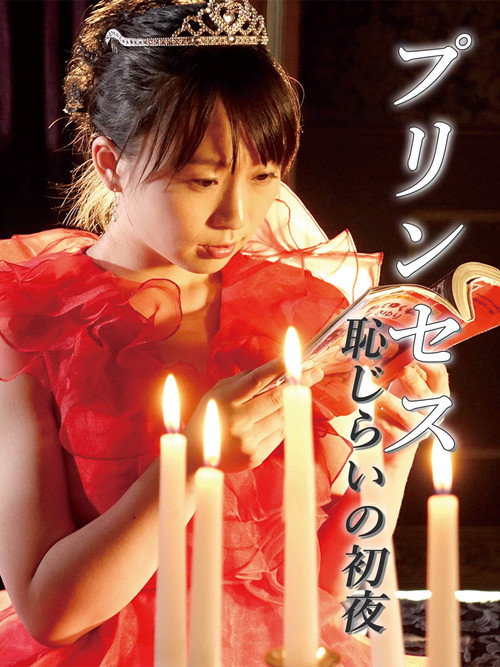 Movie poster for Princess Shy First Night (2016)