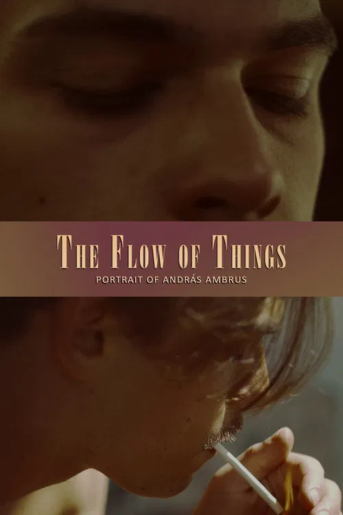 The Flow of Things poster