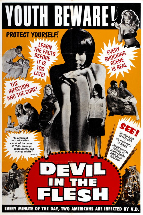 Movie poster for Devil in the Flesh (1964)