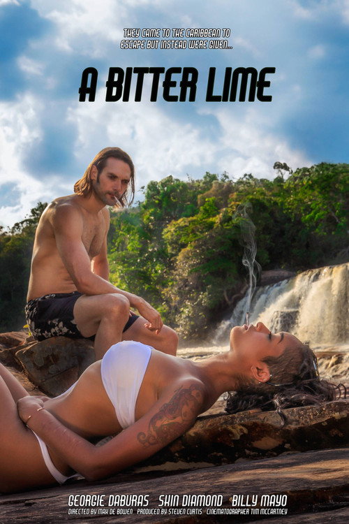 Movie poster for A Bitter Lime (2015)