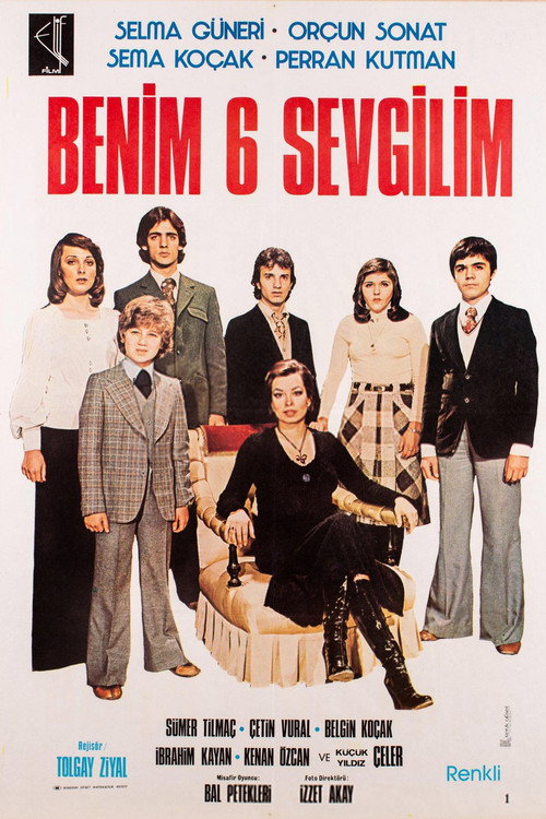 Movie poster for Benim 6 Sevgilim (1977)