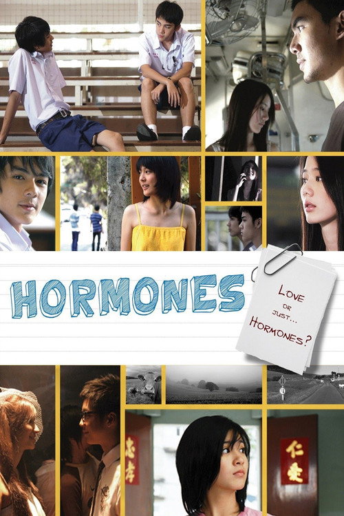 Movie poster for Hormones (2008)