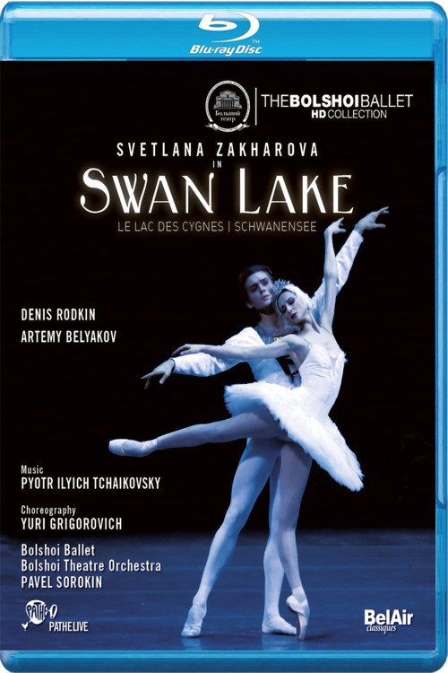 Movie poster for Swan Lake (2015)