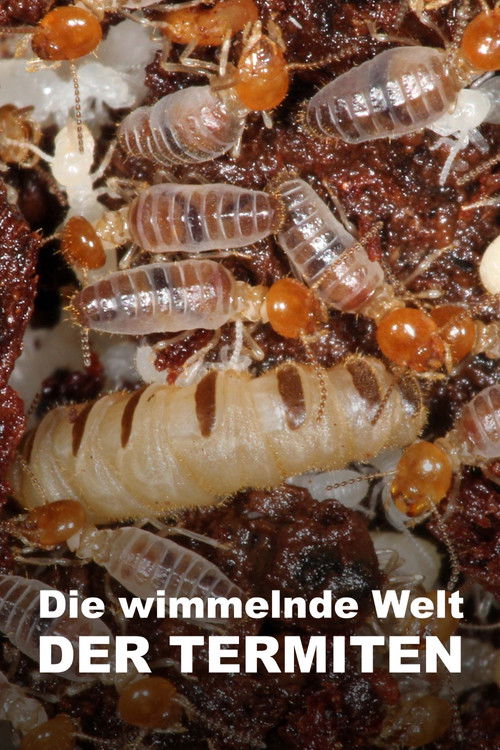 Movie poster for The World According to Termites (2018)
