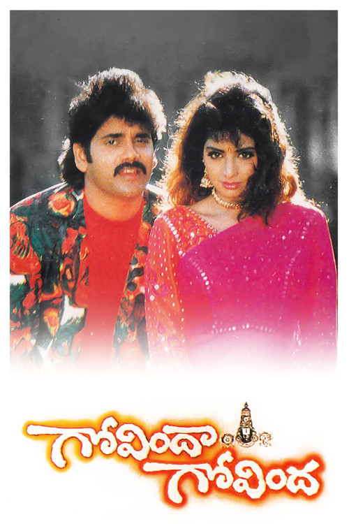 Movie poster for Govindha Govindha (1993)