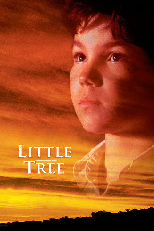 Movie poster for The Education of Little Tree (1997)