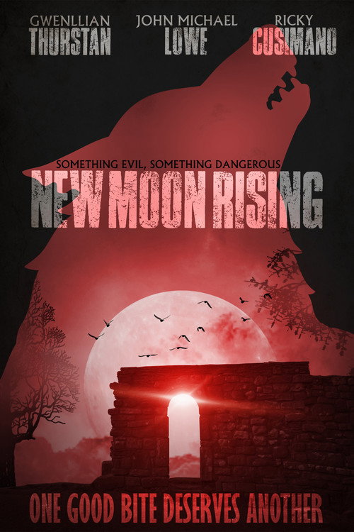 Movie poster for Something Evil, Something Dangerous: New Moon Rising (2011)