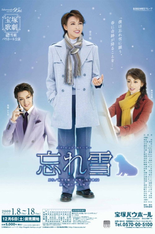 Movie poster for The Last Snow of Spring (2009)