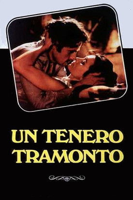 Movie poster for A Tender Sunset (1984)