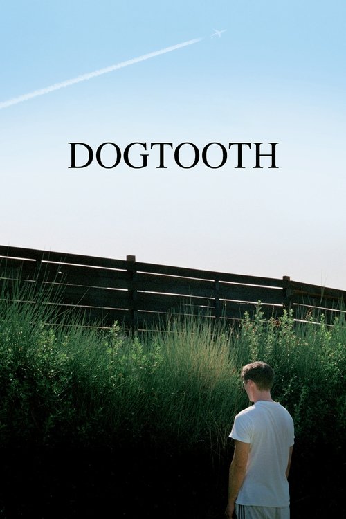 Dogtooth poster