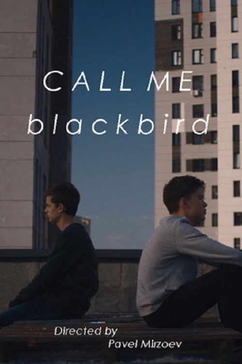 Movie poster for Call Me Blackbird (2020)