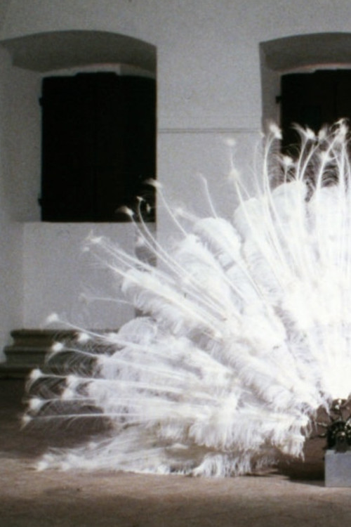 La Ferdinanda. Sonate für eine Medici-Villa poster