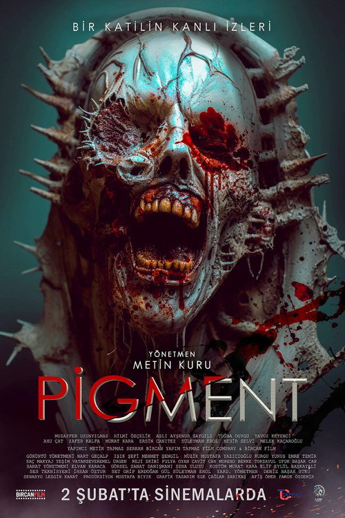 Movie poster for Pigment (2024)