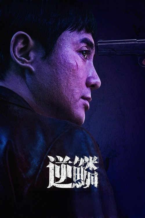 Movie poster for Untouchable (2024)