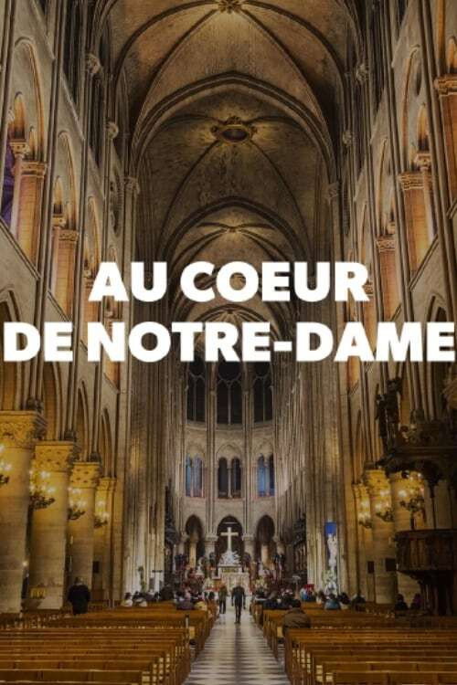 Movie poster for Au cœur de Notre-Dame (2011)
