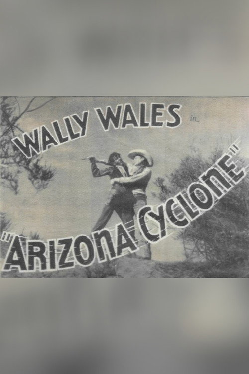 Movie poster for Arizona Cyclone (1934)