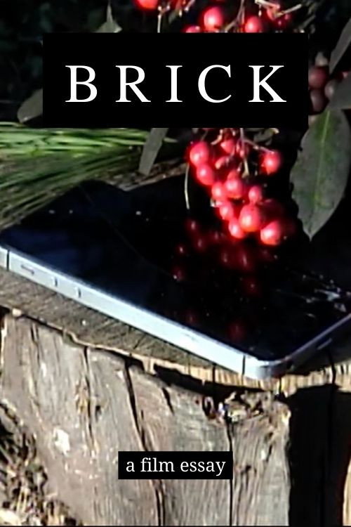 Movie poster for Brick - A film essay (2021)