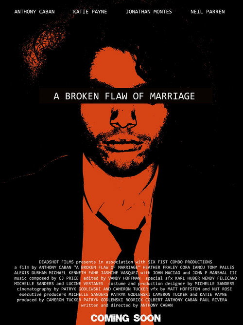 Movie poster for A Broken Flaw of Marriage (2025)