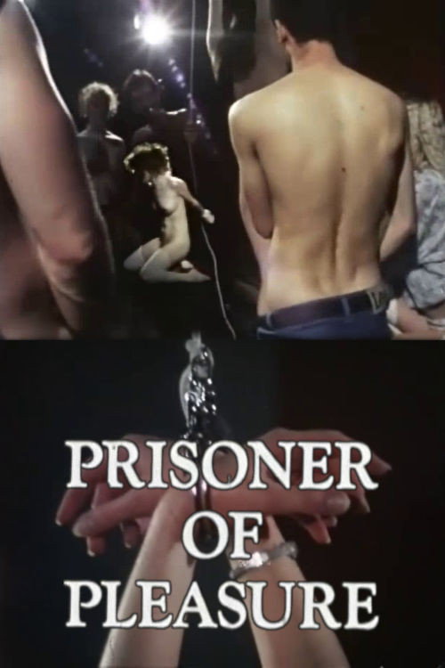 Movie poster for Prisoner of Pleasure (1981)