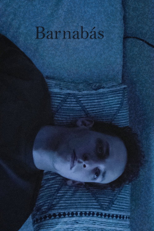 Movie poster for Barnabás (2023)