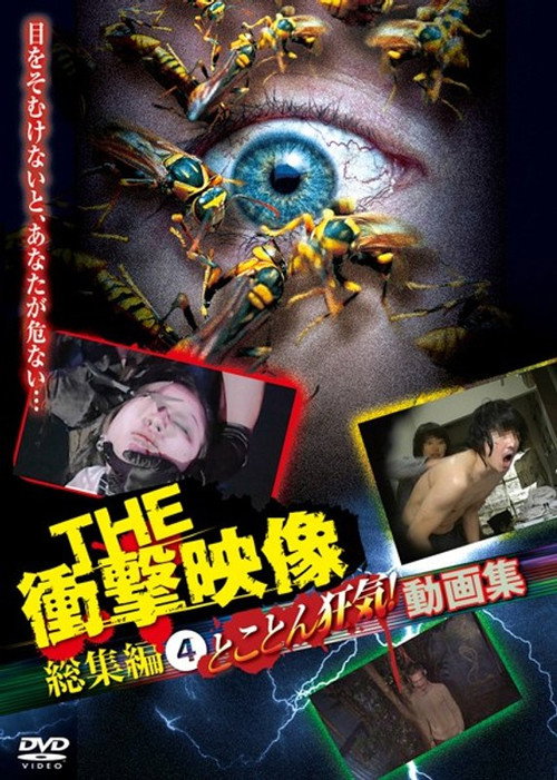 Movie poster for THE Shōgeki Eizō Sōshūhen (4) Tokoton Kyōki! Dōga-shū (2013)