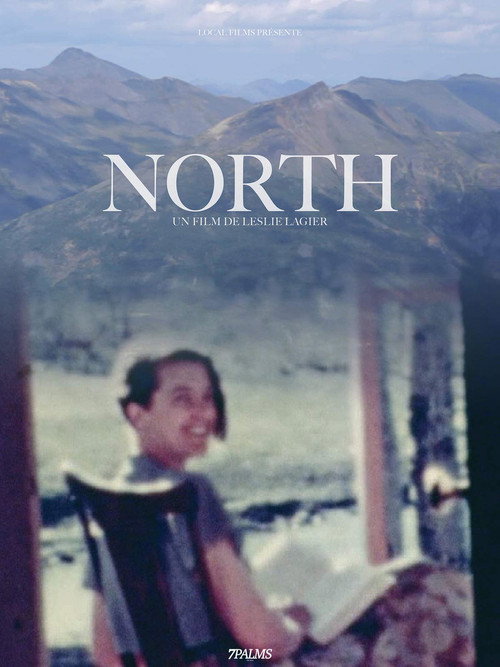 Movie poster for North