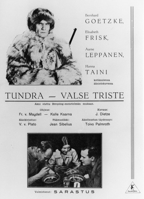 Movie poster for Erämaan turvissa (1931)