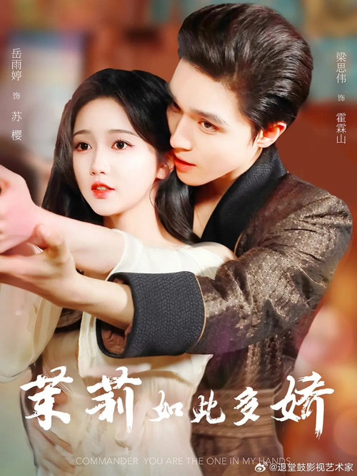 茉莉如此多娇 poster