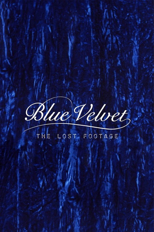 Movie poster for Blue Velvet: The Lost Footage (2011)