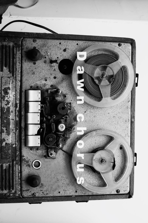 Movie poster for Dawn Chorus