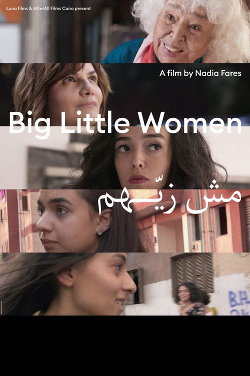 Movie poster for Big Little Women (2022)
