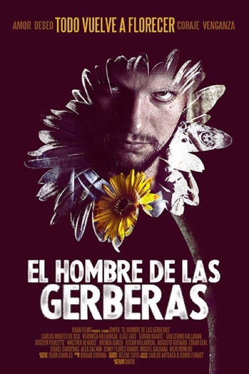 Movie poster for The Man of the Gerberas (2013)