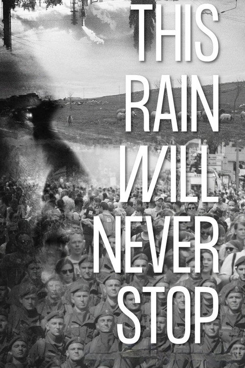 Movie poster for This Rain Will Never Stop (2022)