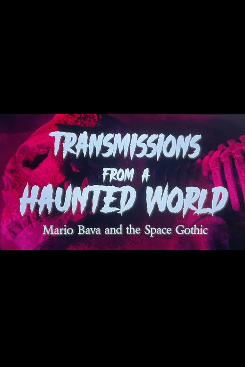 Movie poster for Transmissions from a Haunted World (2024)