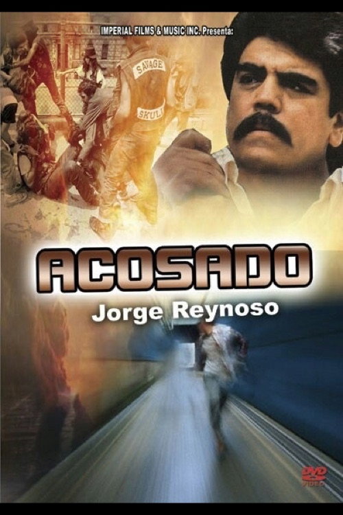 Movie poster for Acosado (1991)