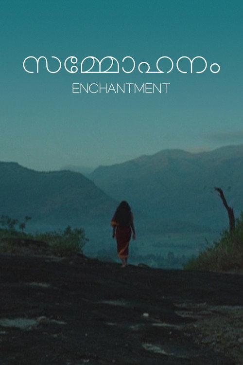 Movie poster for Enchantment (1994)