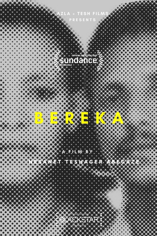 Movie poster for Bereka (2019)