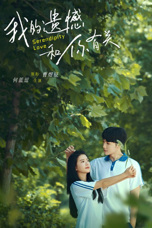 Movie poster for Serendipity Love (2022)