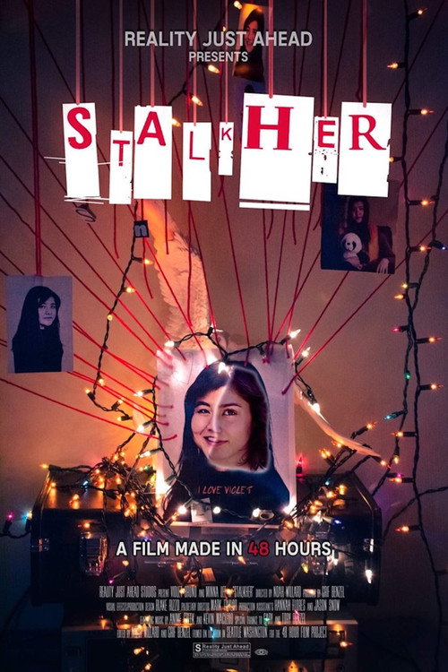Movie poster for Stalkher (2017)