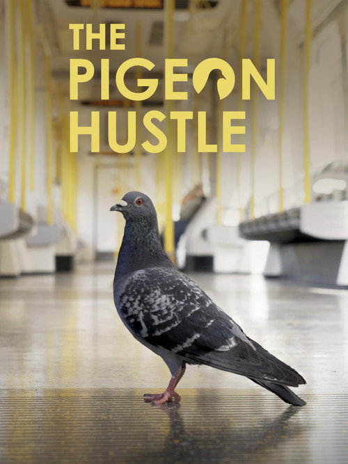 Movie poster for The Pigeon Hustle (2025)
