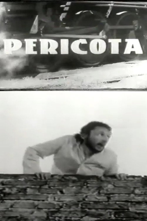 Movie poster for Pericota (1969)