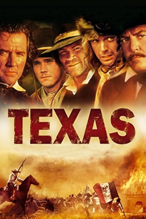 Movie poster for Texas (1995)