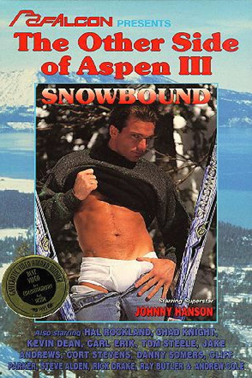 Movie poster for The Other Side of Aspen III: Snowbound (1995)