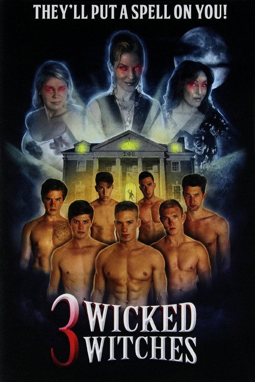 Movie poster for 3 Wicked Witches (2014)