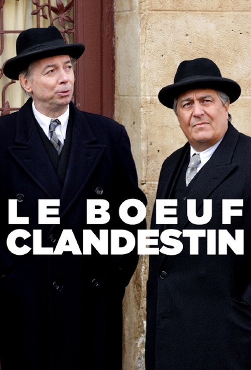Movie poster for Le Bœuf clandestin (2013)