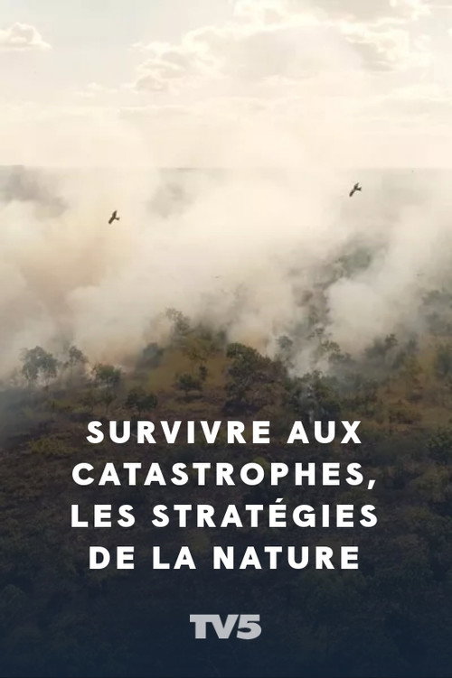 Movie poster for Survivre aux catastrophes, les stratégies de la nature (2020)