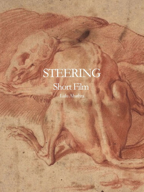 Movie poster for Steering (2024)