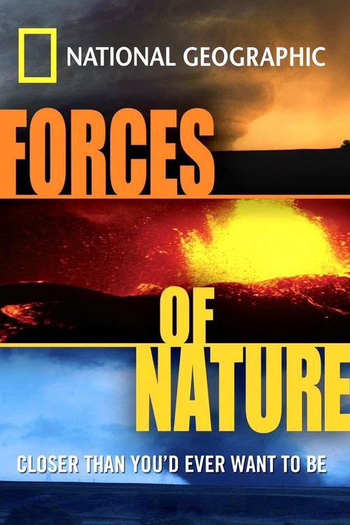 Movie poster for Forces of Nature (2004)