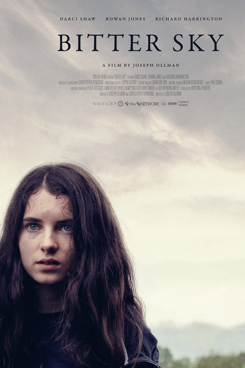 Movie poster for Bitter Sky (2019)