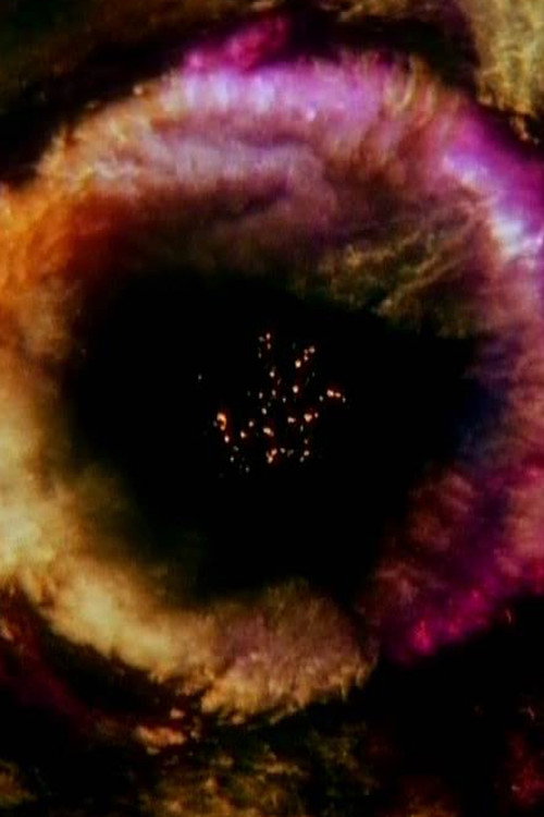 Movie poster for Fountain of Dreams (1984)